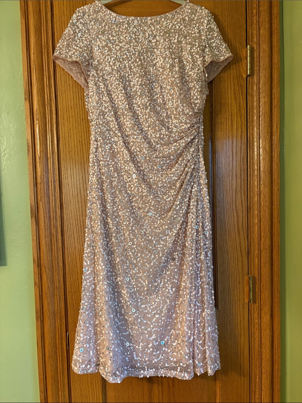 Adrianna Papell Blush Sequin Formal Dress size 16/16W